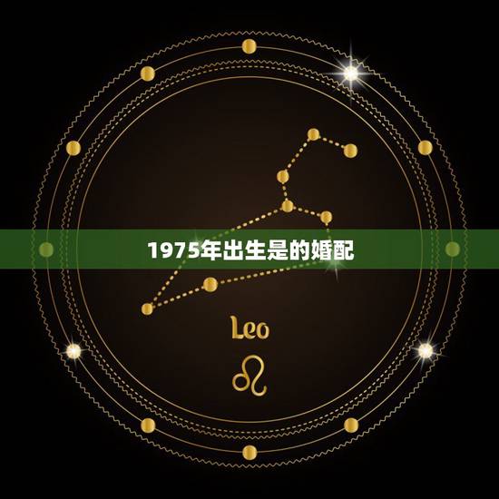1975年出生是的婚配，1975年属兔和1976年属龙的婚配会怎样