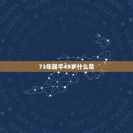 73年属牛49岁什么命，属牛73年是什么命人