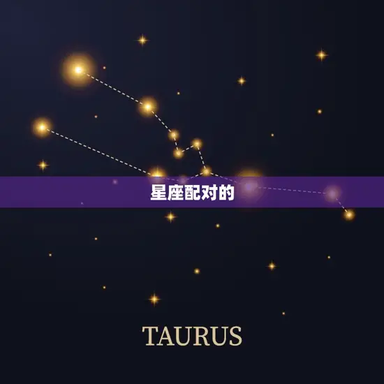 星座配对的