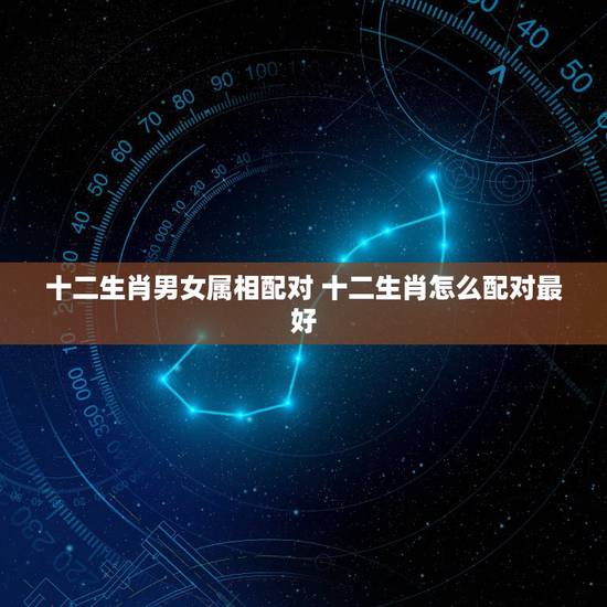 十二生肖男女属相配对 十二生肖怎么配对最好