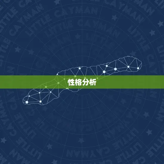 性格分析 性格分析