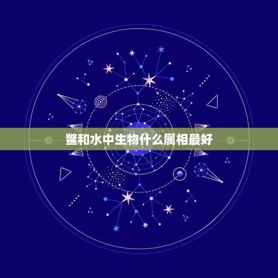 鳖和水中生物什么属相最好，水鳖属的介绍