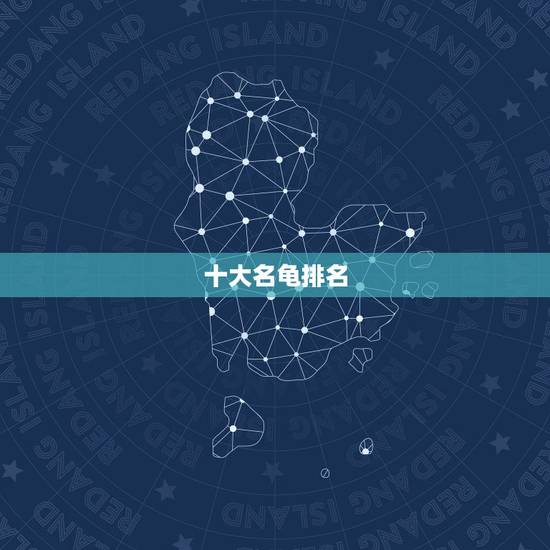 十大名龟排名,世界十大凶猛龟是哪些 十大名龟排名,世界十大凶猛龟是哪些