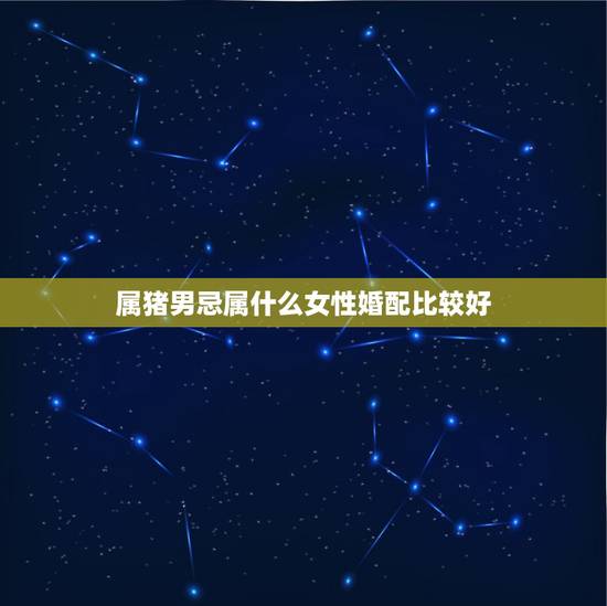 属猪男忌属什么女性婚配比较好，属猪的最佳婚配是什么属相