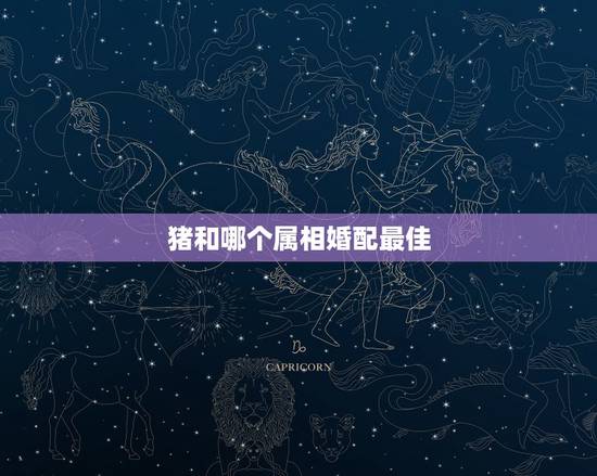 猪和哪个属相婚配最佳，属相婚配，属猪的和什么属相最配