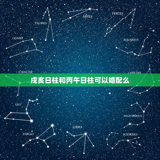 戌亥日柱和丙午日柱可以婚配么,男命日柱丙戌,女命日柱丙午婚姻相配吗 戌亥日柱和丙午日柱可以婚配么,男命日柱丙戌,女命日柱丙午婚姻相配吗