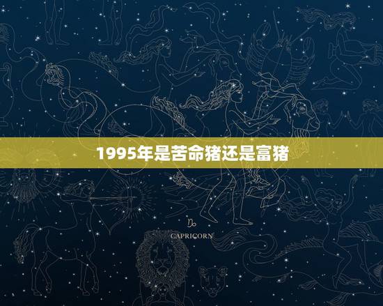 1995年是苦命猪还是富猪，1995年属猪的命运如何
