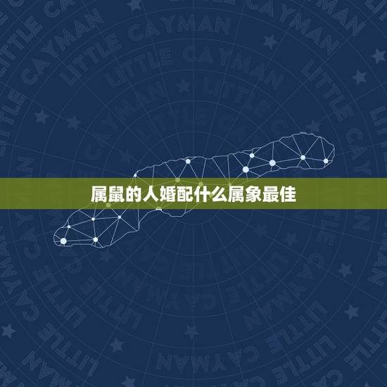 属鼠的人婚配什么属象最佳,属鼠男配什么属相的才合适呢 属鼠的人婚配什么属象最佳,属鼠男配什么属相的才合适呢