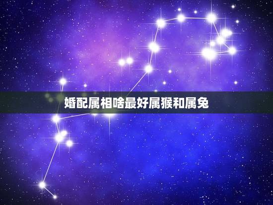 婚配属相啥最好属猴和属兔,属猴跟属兔相配吗 婚配属相啥最好属猴和属兔,属猴跟属兔相配吗