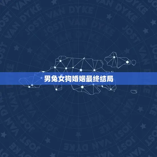 男兔女狗婚姻最终结局