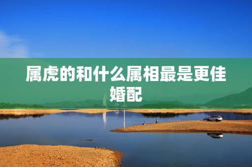属虎的和什么属相最是更佳婚配,74年属虎更佳配偶属相 属虎的和什么属相最是更佳婚配,74年属虎更佳配偶属相
