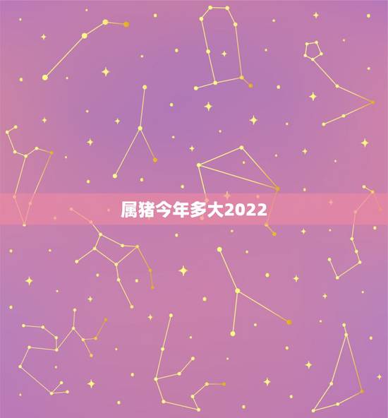 属猪今年多大2022，属猪今年多大年纪