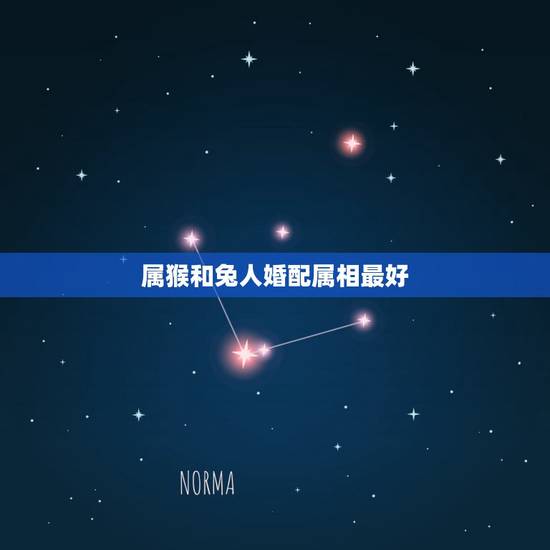 属猴和兔人婚配属相最好，属猴的和什么属相最配