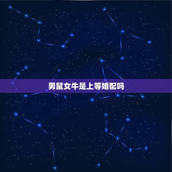 男鼠女牛是上等婚配吗,已婚鼠女和未婚男牛好吗 男鼠女牛是上等婚配吗,已婚鼠女和未婚男牛好吗