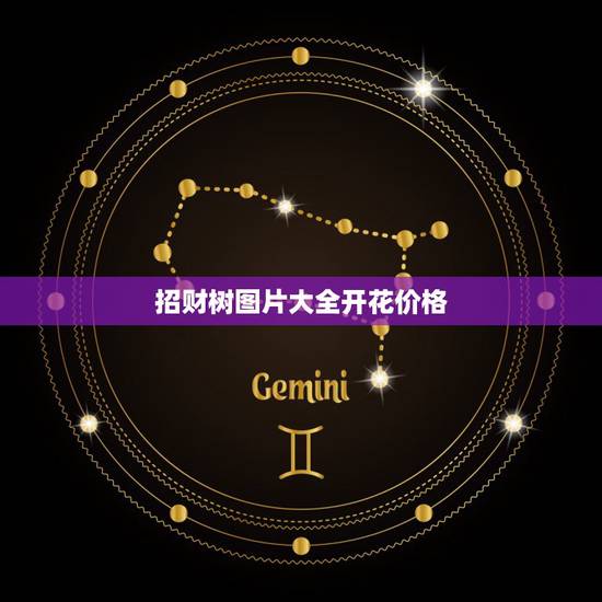 招财树图片大全开花价格，招财树有开花的呢