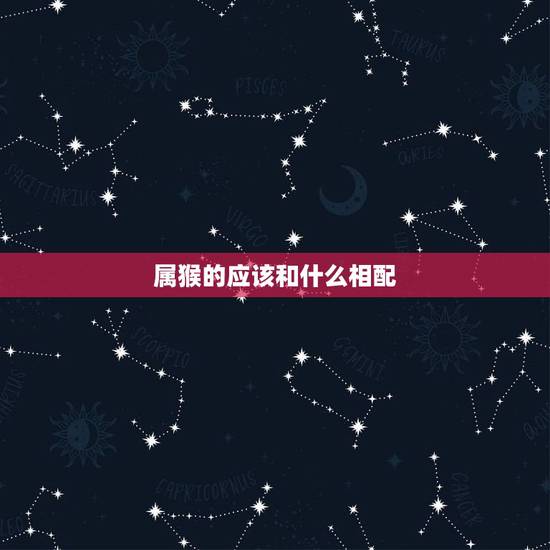 属猴的应该和什么相配，属猴命中贵人