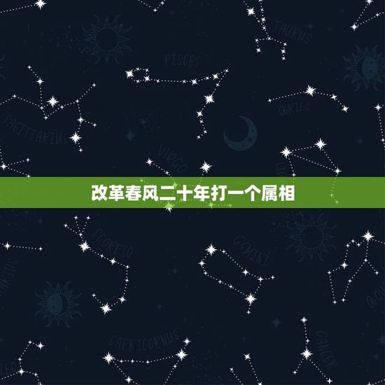 改革春风二十年打一个属相，改革春风二十年什么意思？