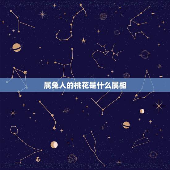 属兔人的桃花是什么属相,2021属兔的桃花劫为什么是 属兔人的桃花是什么属相,2021属兔的桃花劫为什么是
