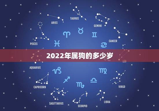 2022年属狗的多少岁，1982属狗的性格和脾气