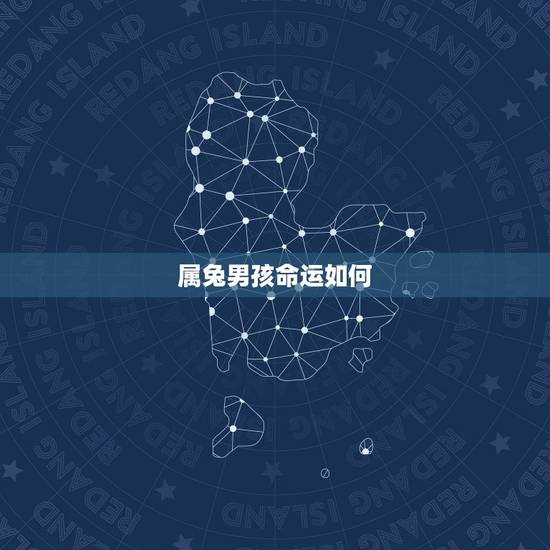 属兔男孩命运如何,十二生肖属兔命好不好 属兔男孩命运如何,十二生肖属兔命好不好