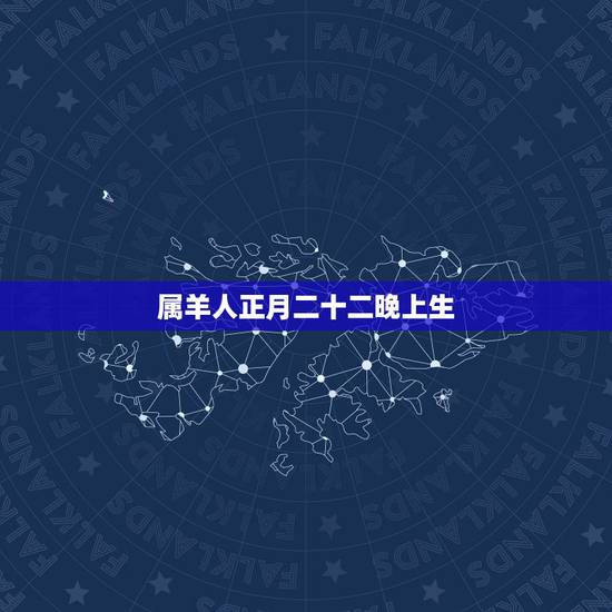 属羊人正月二十二晚上生，1991年正月二十二是仟么命