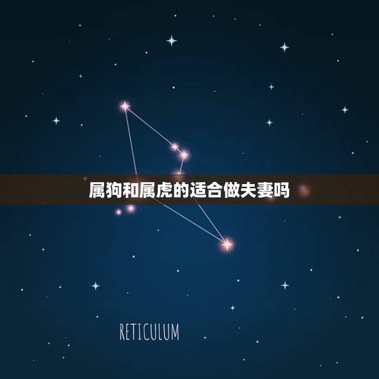 属狗和属虎的适合做夫妻吗，属狗的人和属虎的人配吗？