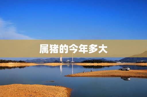 属猪的今年多大,83年猪一生有二婚 属猪的今年多大,83年猪一生有二婚