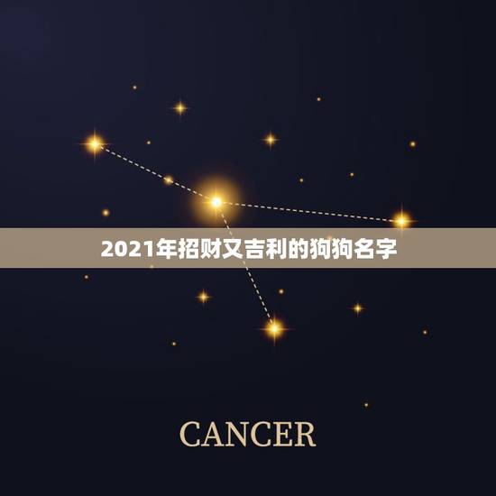2021年招财又吉利的狗狗名字,2021招财又吉利的狗名字 2021年招财又吉利的狗狗名字,2021招财又吉利的狗名字