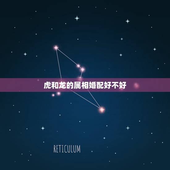 虎和龙的属相婚配好不好,属虎可以与属龙的相配吗 虎和龙的属相婚配好不好,属虎可以与属龙的相配吗