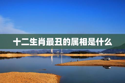 十二生肖最丑的属相是什么,最丑的生肖是什么生肖,十二生肖长得丑 十二生肖最丑的属相是什么,最丑的生肖是什么生肖,十二生肖长得丑