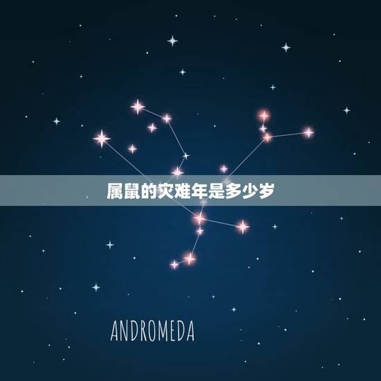 属鼠的灾难年是多少岁,属鼠的今年几岁 属鼠的灾难年是多少岁,属鼠的今年几岁