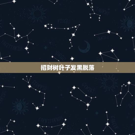 招财树叶子发黑脱落,请教一下招财树的叶子发黑掉落是什么原因? 招财树叶子发黑脱落,请教一下招财树的叶子发黑掉落是什么原因?