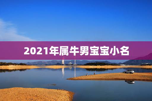 2021年属牛男宝宝小名，2021年好听的男宝宝名字