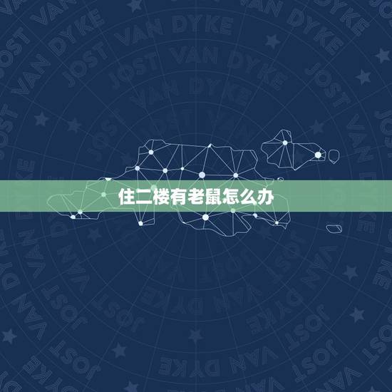 住二楼有老鼠怎么办,专门吓老鼠的猫叫声 住二楼有老鼠怎么办,专门吓老鼠的猫叫声