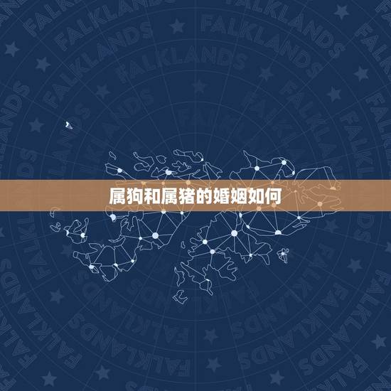 属狗和属猪的婚姻如何,属狗的和属猪的适合做夫妻吗? 属狗和属猪的婚姻如何,属狗的和属猪的适合做夫妻吗?