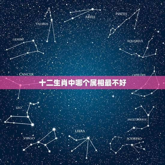 十二生肖中哪个属相最不好，十二生肖中那个生肖最差