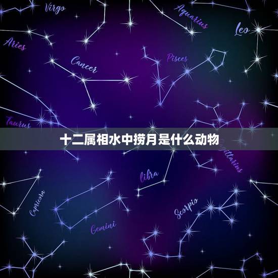 十二属相水中捞月是什么动物,水中捞月是指什么生肖 十二属相水中捞月是什么动物,水中捞月是指什么生肖