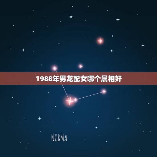 1988年男龙配女哪个属相好，1988年2月21男龙配什么属相女最合适