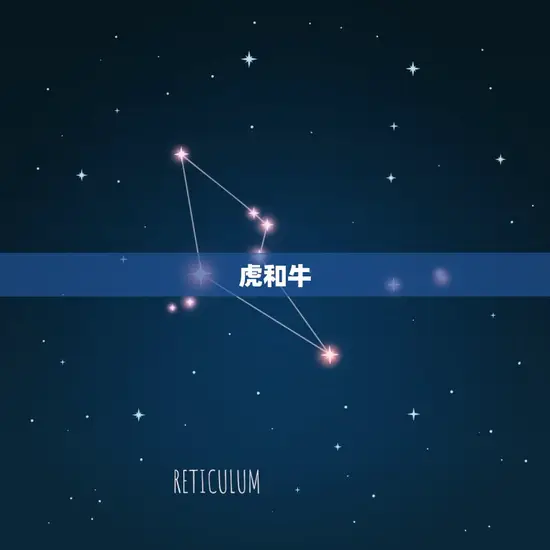 虎和牛 虎和牛