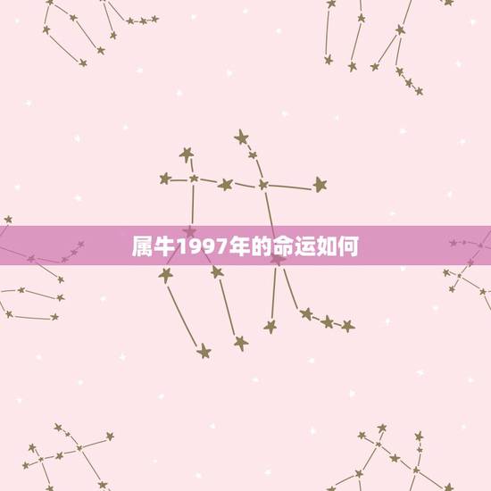 属牛1997年的命运如何，97属牛的三大坎