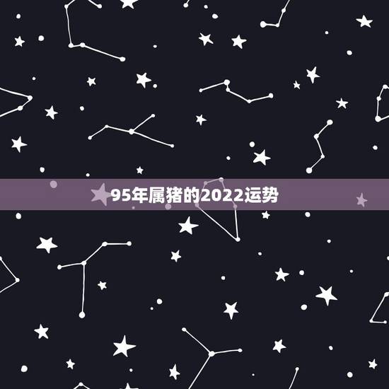 95年属猪的2022运势,2021年95年属猪女运势 95年属猪的2022运势,2021年95年属猪女运势