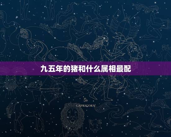 九五年的猪和什么属相最配,95年属猪男的和什么属相最配 九五年的猪和什么属相最配,95年属猪男的和什么属相最配