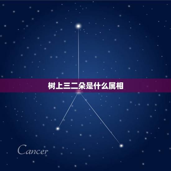 树上三二朵是什么属相,树上花开三二朵是什么生肖 树上三二朵是什么属相,树上花开三二朵是什么生肖