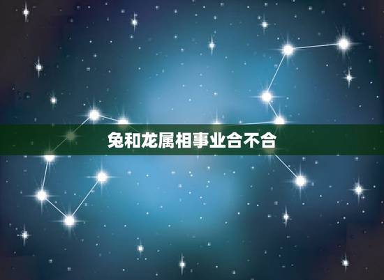 兔和龙属相事业合不合，属龙和属兔合不合