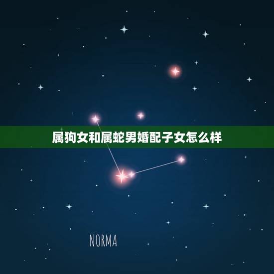 属狗女和属蛇男婚配子女怎么样，女属狗和男属蛇相配吗