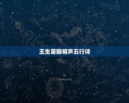 王生苗圃相声五行诗,苗阜王声相声大全《写对 王生苗圃相声五行诗,苗阜王声相声大全《写对