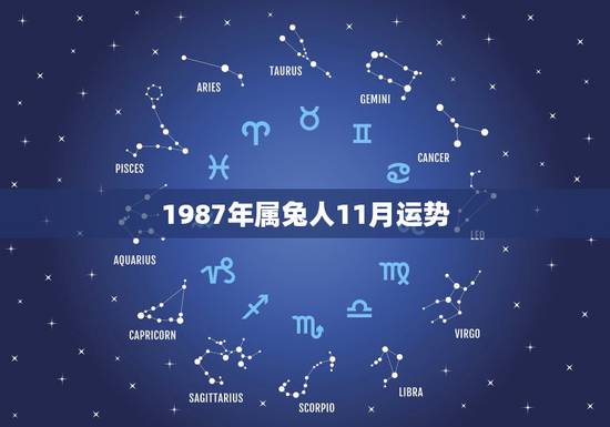 1987年属兔人11月运势,87年兔2022 年运势及运程 1987年属兔人11月运势,87年兔2022 年运势及运程