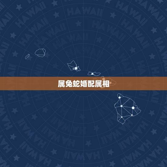 属兔蛇婚配属相，属蛇和属兔的婚姻如何