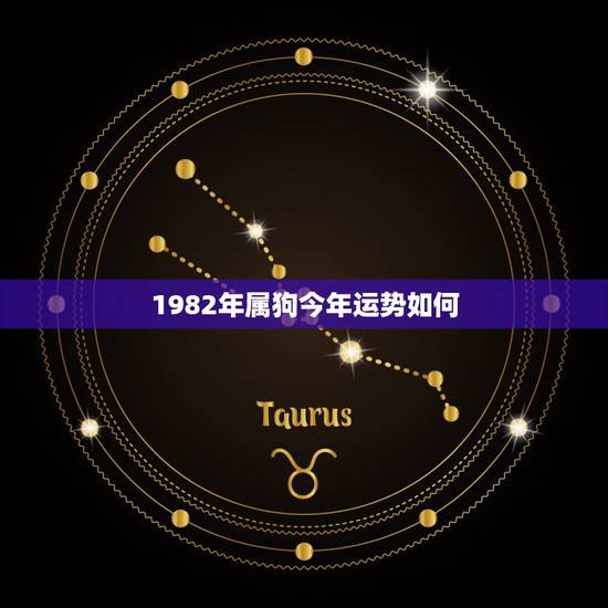 1982年属狗今年运势如何,男命82年属狗2022 年运势 1982年属狗今年运势如何,男命82年属狗2022 年运势