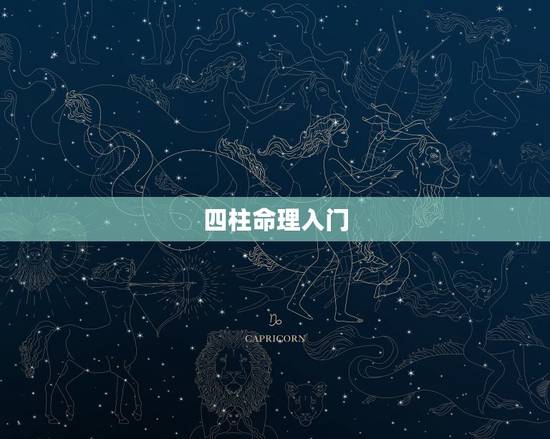四柱命理入门,命理四柱是什么? 四柱命理入门,命理四柱是什么?